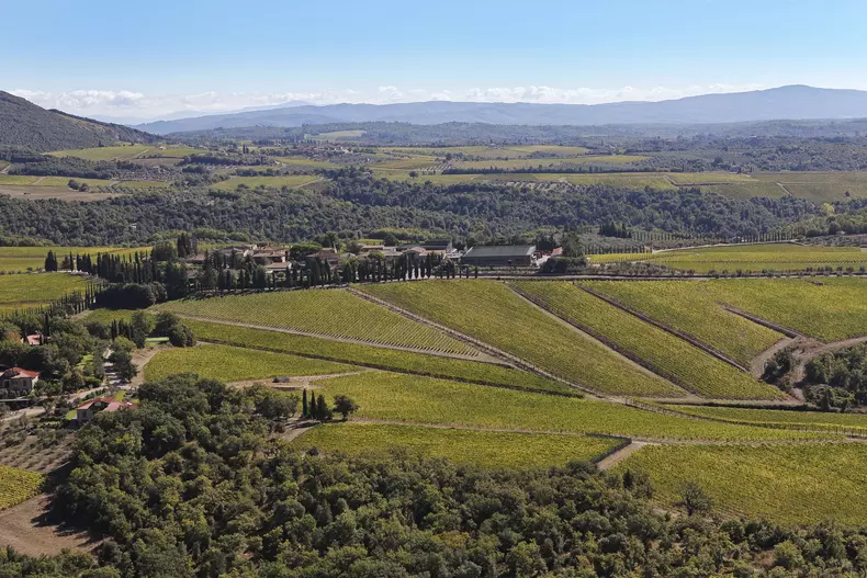 2 Vineyards 4