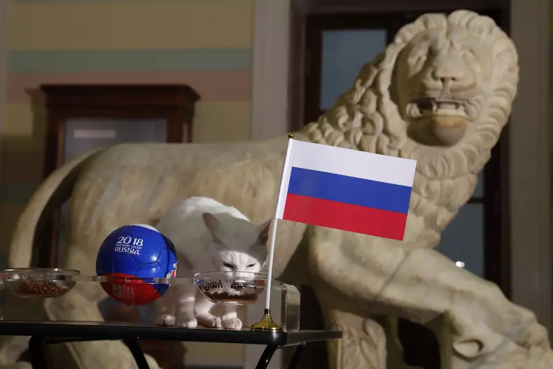St.Petersburg feature FIFA World Cup 2018