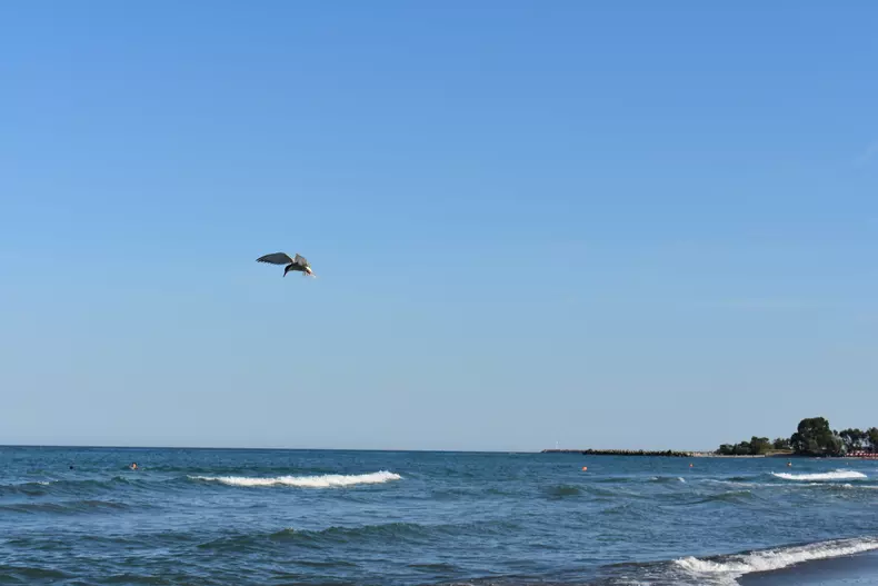 Pensionarii care n-au mai fost niciodată în vacanță