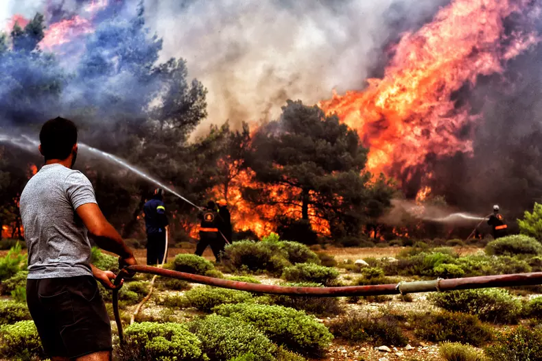 incendiile de vegetatie din grecia