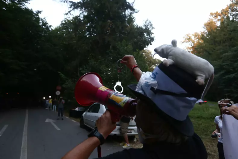 proteste la nunta lui Liviu Dragnea (2)