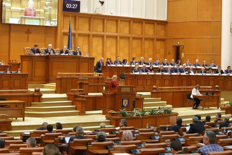 plen comun dancila 2