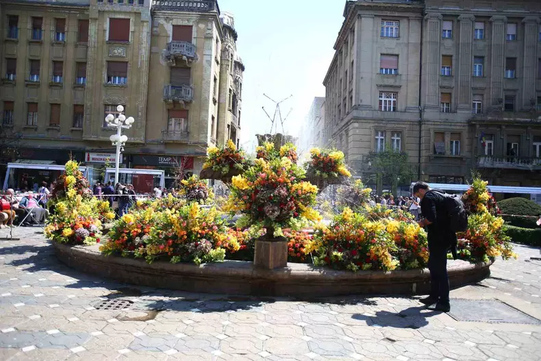 timfloralis 2019 libe2