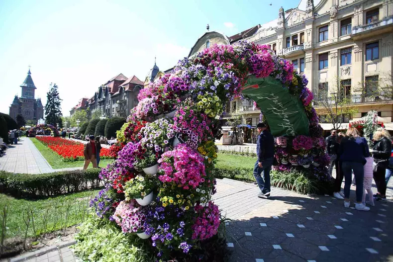 timfloralis 2019 libe4