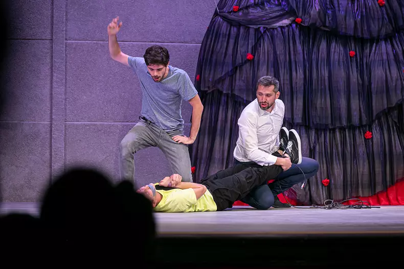 piesa-teatru-frontal-25