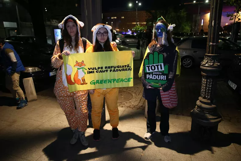 73323548_2399447316962142_8227257713755684864_n