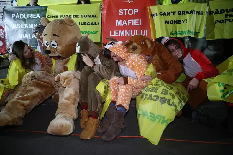 74664548_2498037307135666_2785904887005708288_n