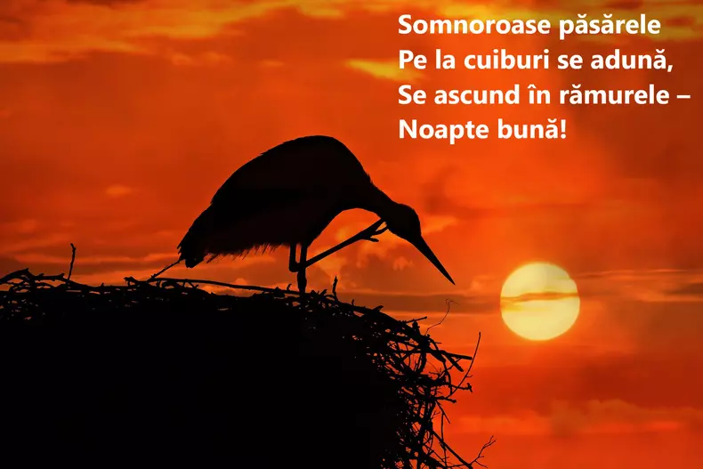 Poezii de Mihai Eminescu - somnoroase păsărele