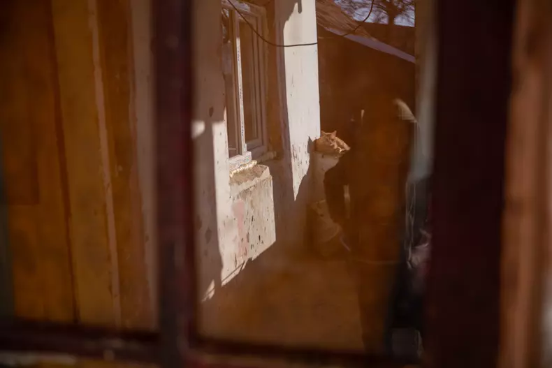 Alexandru Bucur_vagiulesti (13)