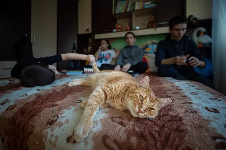 La limita dintre relaxare și plictiseală, copiii stau în pat împreună cu Bubu pe care Andrei îl trage ușor de coadă. Motanul nu ripostează.