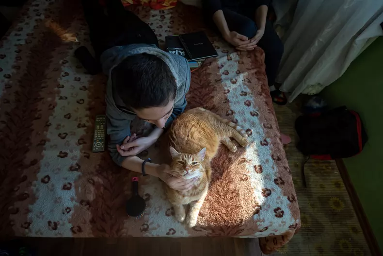 Bubu toarce de zor și se lasă mângâiat de Ionuț. E învățat cu copiii care îl perie, îl alintă și se joacă cu el.