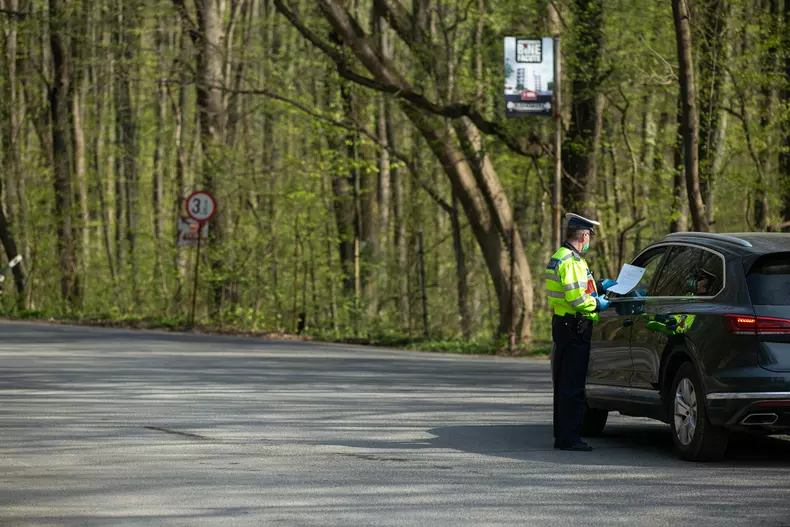 Filtru Politie - Padurea Baneasa - Zoo (4)