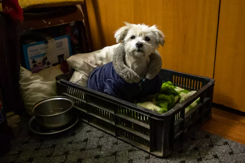 d-na-georgeta-vanzatoare-ziare-s-58