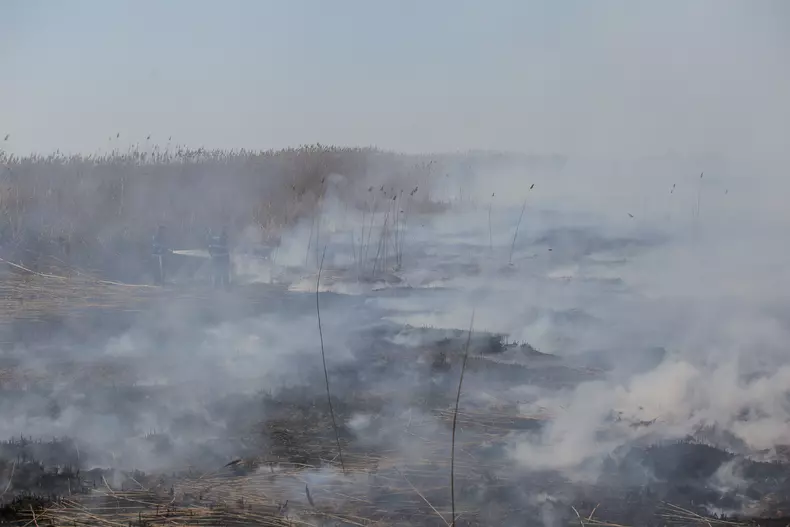 incendiu peris