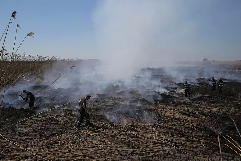 incendiu peris_vlad chirea (10)