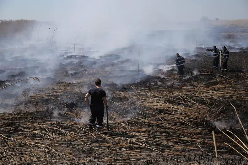 incendiu peris_vlad chirea (11)