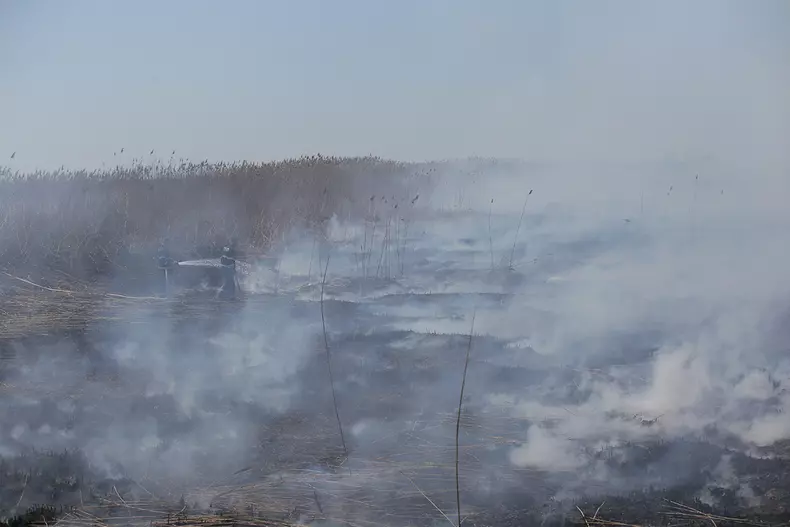 incendiu peris_vlad chirea (17)