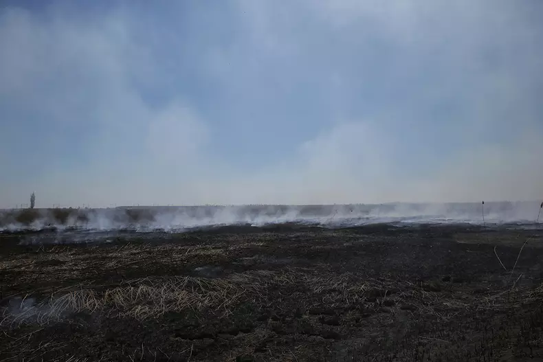 incendiu peris_vlad chirea (18)