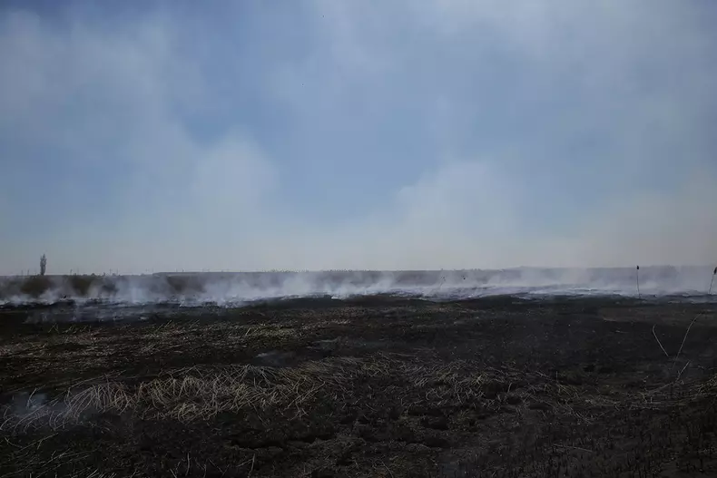 incendiu peris_vlad chirea (19)