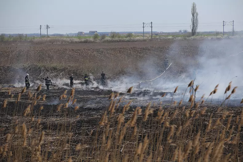 incendiu peris_vlad chirea (20)