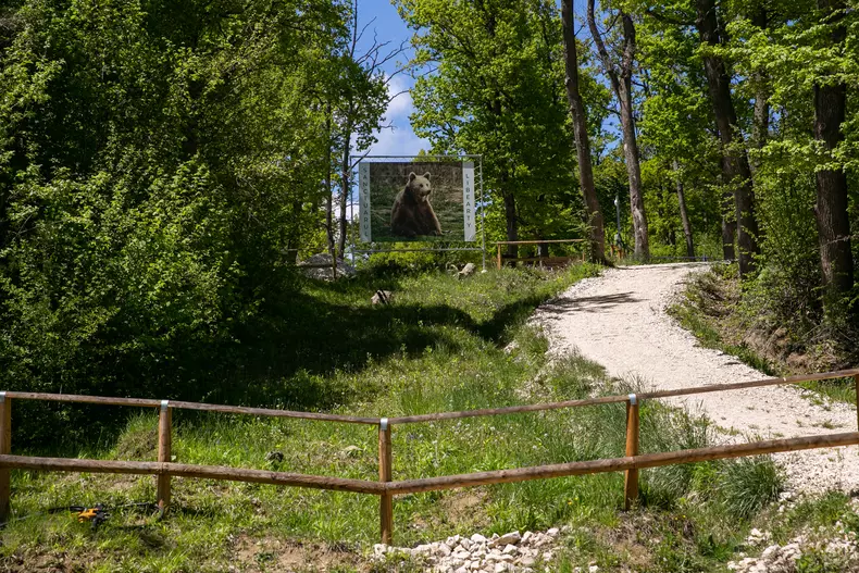 sanctuar zarnesti_vlad chirea