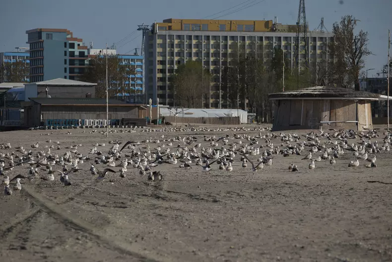 mamaia_dumitru angelescu