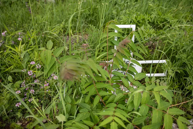 eli-driu_cimitirul-turda-c-s-111