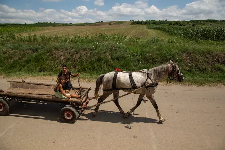 Pogonești