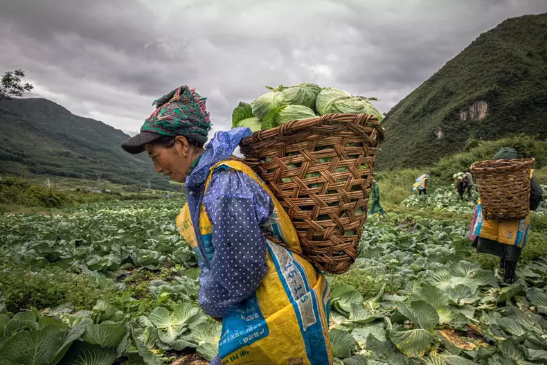 china agricultura epa