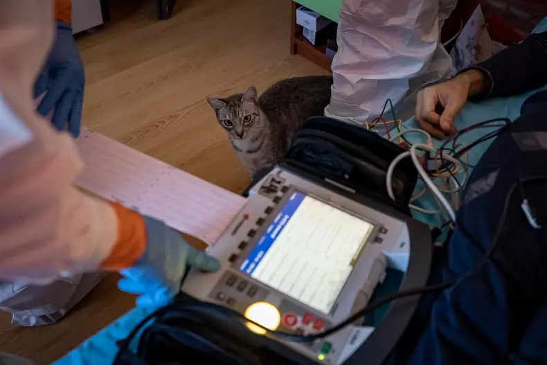 ambulanta-covid-s-150