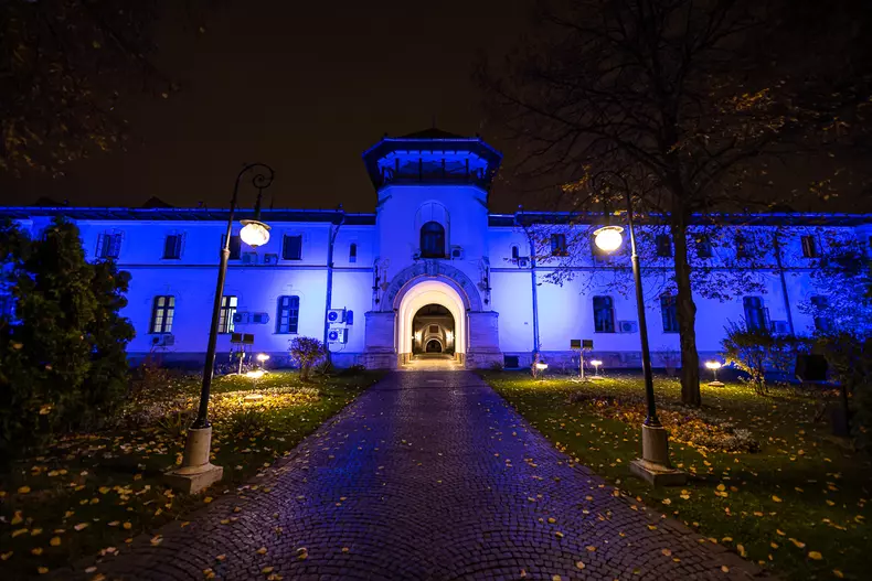 original_iluminare_palatul_cotroceni_20_nov_2020_25