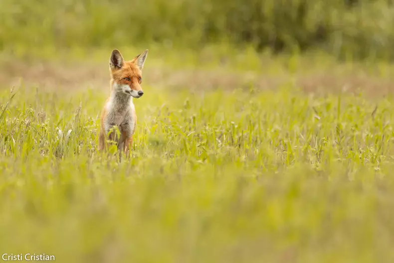 128009744_223952932415065_5874288801189396234_o