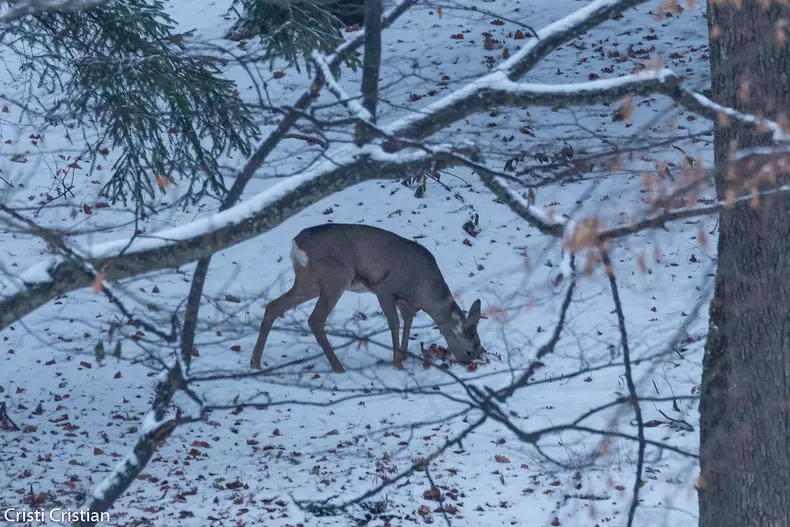 129183019_225320275611664_4222743936818255335_o