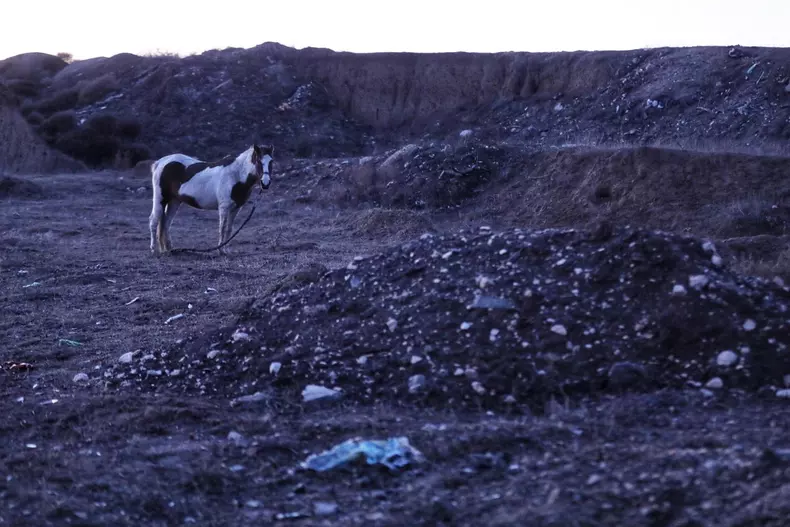 140594551_259771212229139_4990303915629137318_n