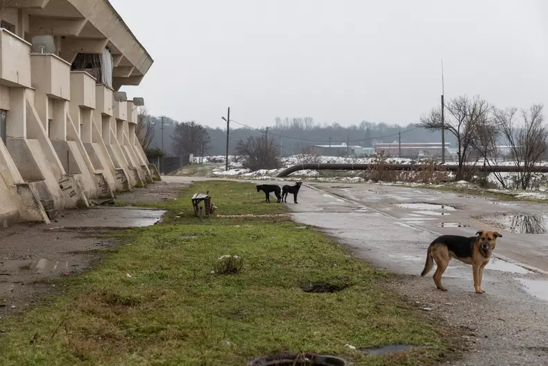 ceausescu scornicesti vlad chirea