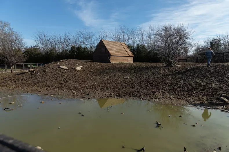 Locul cailor, la Delfinariul din Constanța
