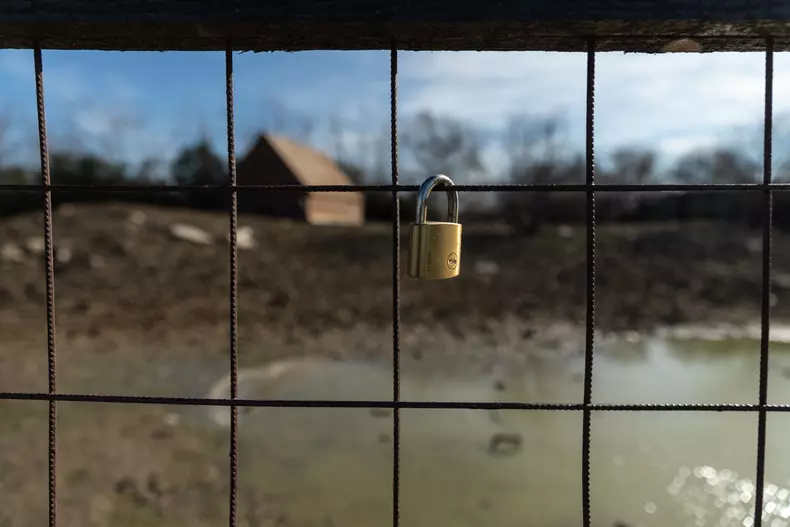 Locul cailor, la Delfinariul din Constanța