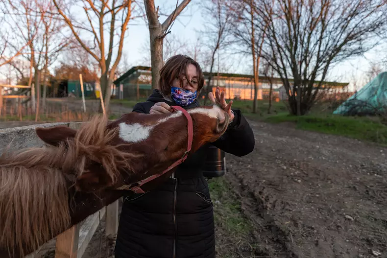 Adăpostul Save the Dogs, de lângă Cernavodă