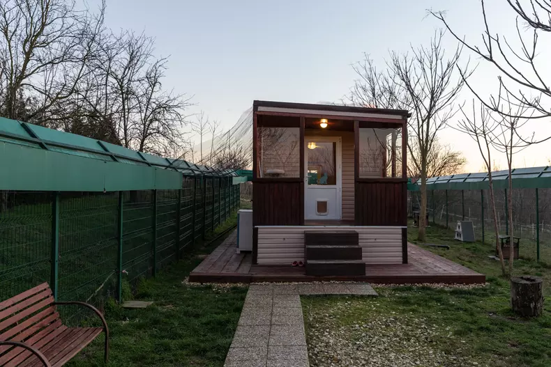 Adăpostul Save the Dogs, de lângă Cernavodă