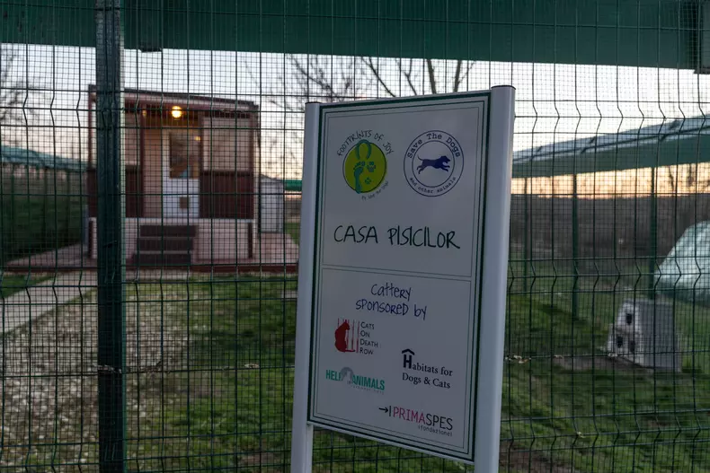 Adăpostul Save the Dogs, de lângă Cernavodă