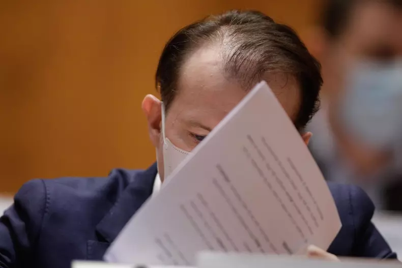 Florin Citu, buget Parlament, foto Inquam Photos / George Calin