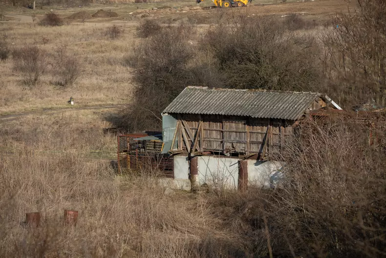 ursi cilan arad vlad chirea