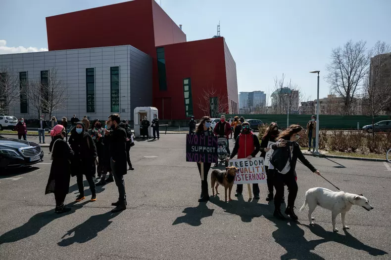 protest ministerul culturii vlad chirea