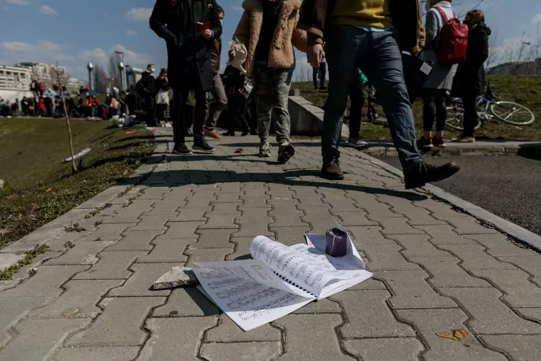 protest ministerul culturii vlad chirea