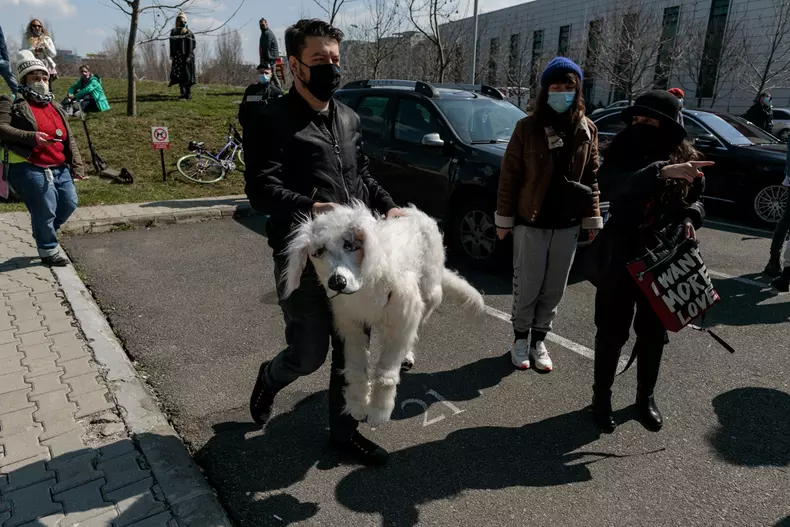 protest ministerul culturii vlad chirea