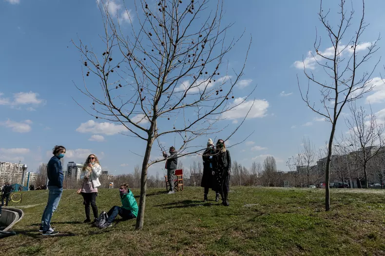 protest ministerul culturii vlad chirea