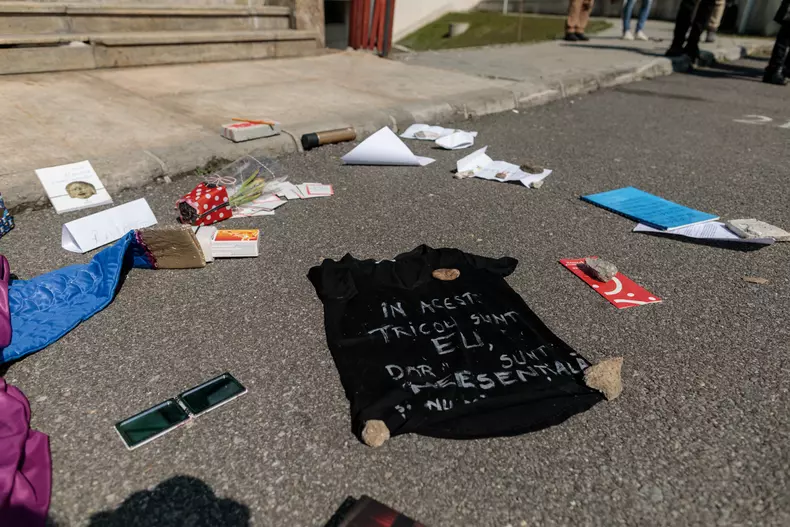 protest ministerul culturii vlad chirea