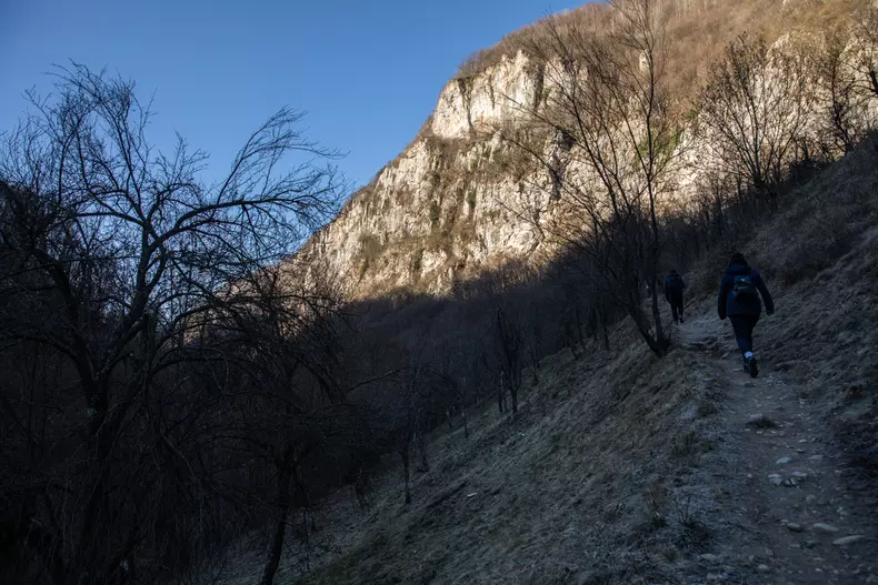 satul inelet vlad chirea