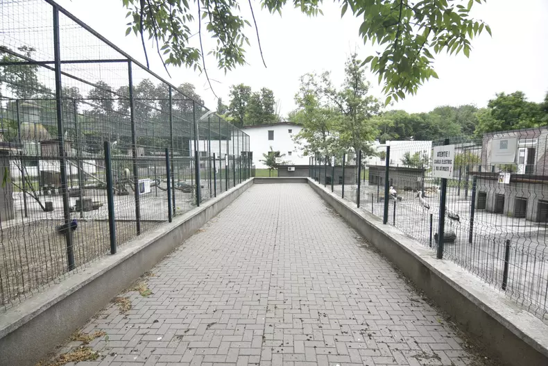 100644872_2917475264988572_3562368823036215296_n