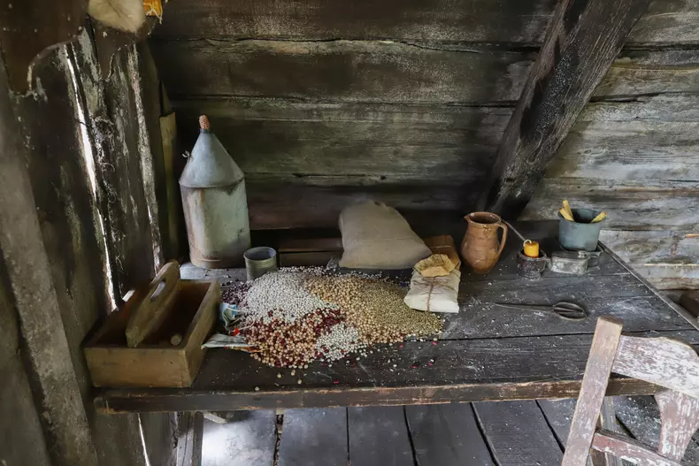 django racos brasov vlad chirea